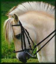 millou